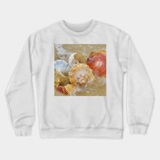 Seashells by the Seashore Crewneck Sweatshirt